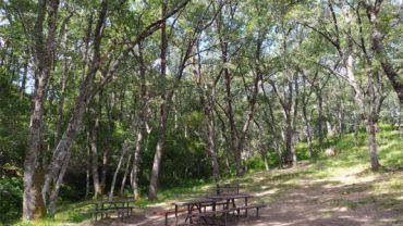 Top 5 zonas de acampada libre y campings ecológicos