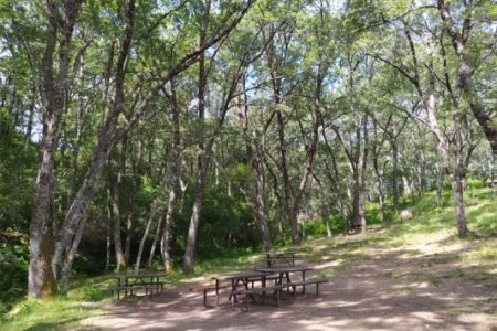 Top 5 zonas de acampada libre y campings ecológicos