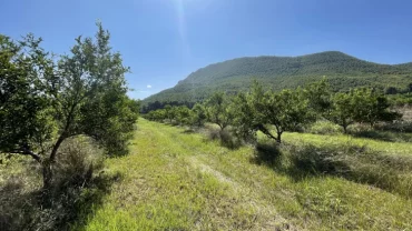 Turismo rural con mascotas en el sudeste español