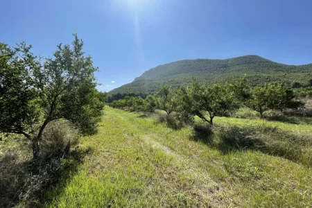 Turismo rural con mascotas en el sudeste español
