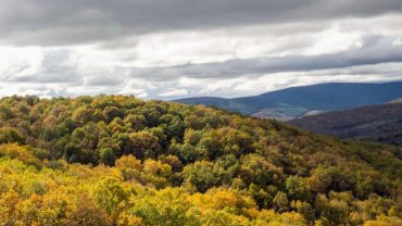 Escapadas verdes a menos de una hora de Madrid