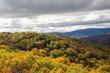 Escapadas verdes a menos de una hora de Madrid