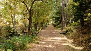 Senderos circulares en parques naturales de Madrid