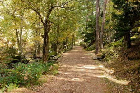 Senderos circulares en parques naturales de Madrid