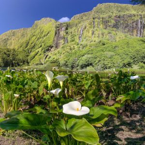 Azores Perdidas | Del 8 al 16 de Noviembre 2025