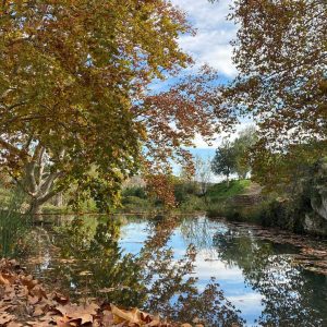 Selva Mediterránea: Canal de Navarrés | Del 6 al 8 de Diciembre 2025