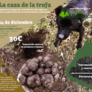 ALBACETE: La caza de la trufa | Búsqueda con perros | 14 de diciembre 2025